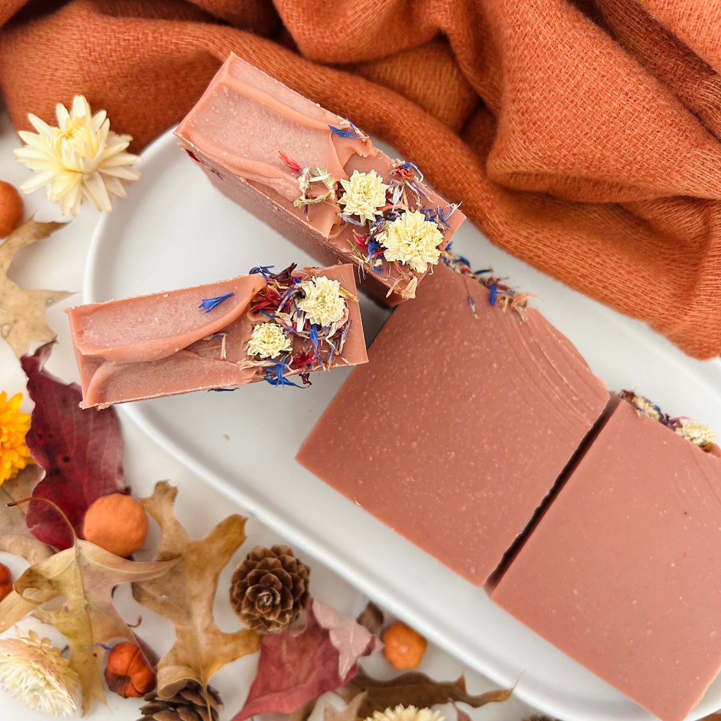 Cozy Apple Cinnamon Soap Bar