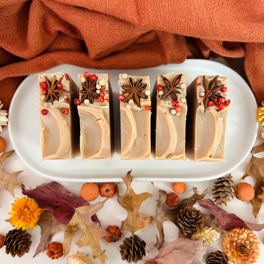 Warm Apple Cider Soap Bar